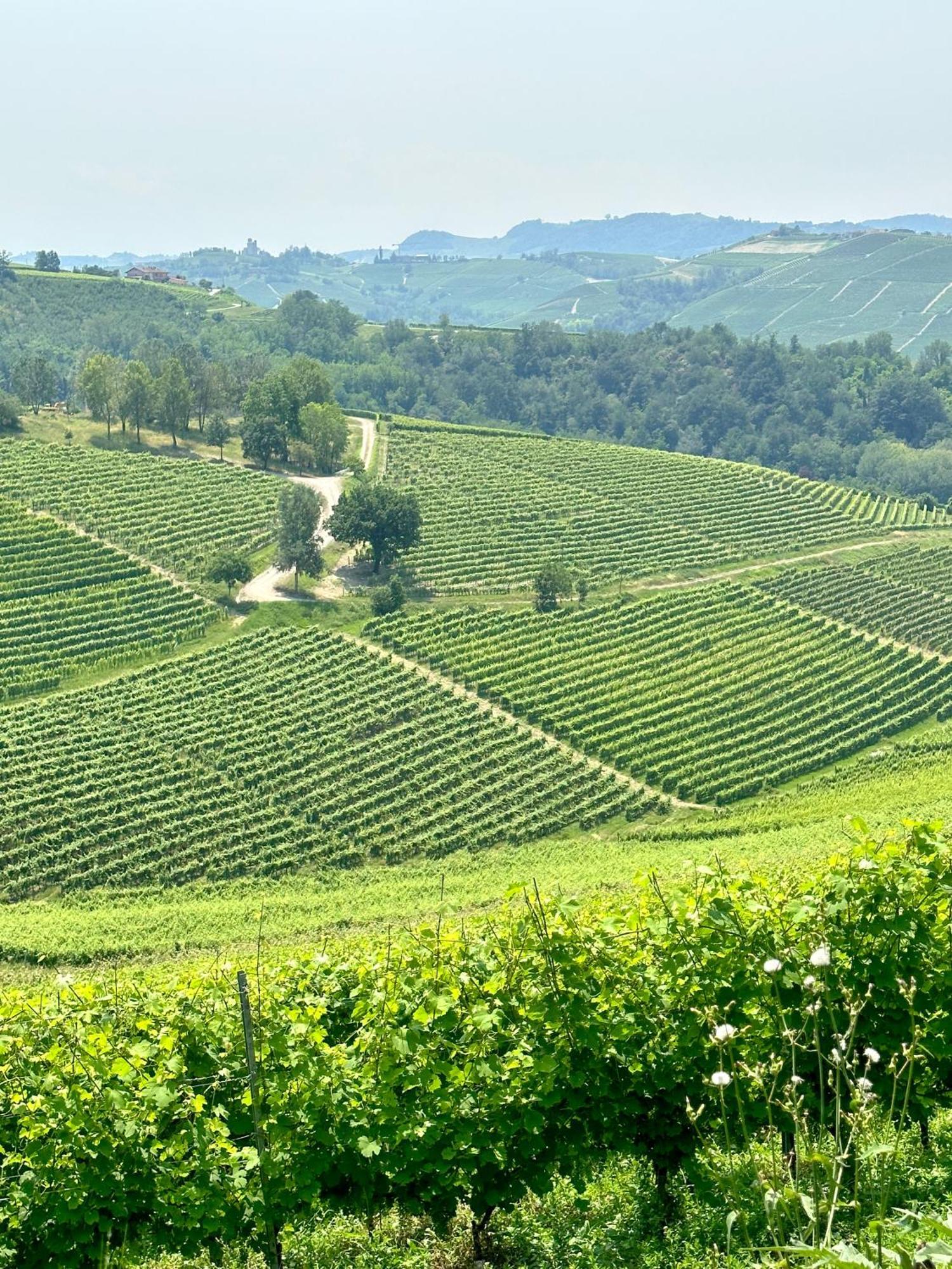 Just Langhe Casa Barolo Novello Exterior foto